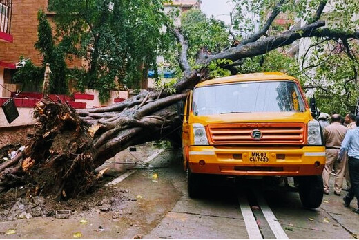 बारिश के बीच स्कूल बस पर गिरा विशाल पेड़, एक छात्र की मौत व 10 घायल